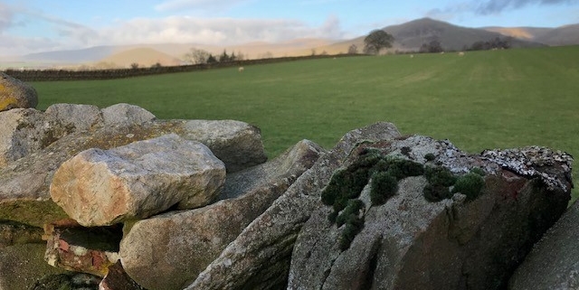 Dufton Pike across the fields