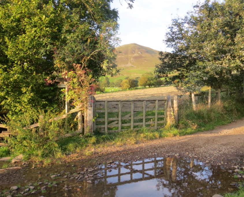 Dufton Pike from the village