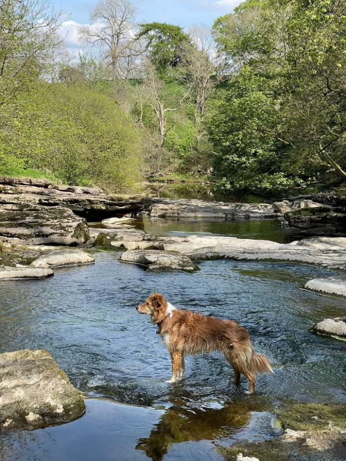Great day to be chilling next to these rock pools and waterfalls on the poetry path in Kirkby Stephen. Can recommend Brough ice cream parlour which is underneath Brough castle as a stop off point to finish off a nice afternoon. 
Poetry walk is a 2 mile circular with easy paths to stroll along.