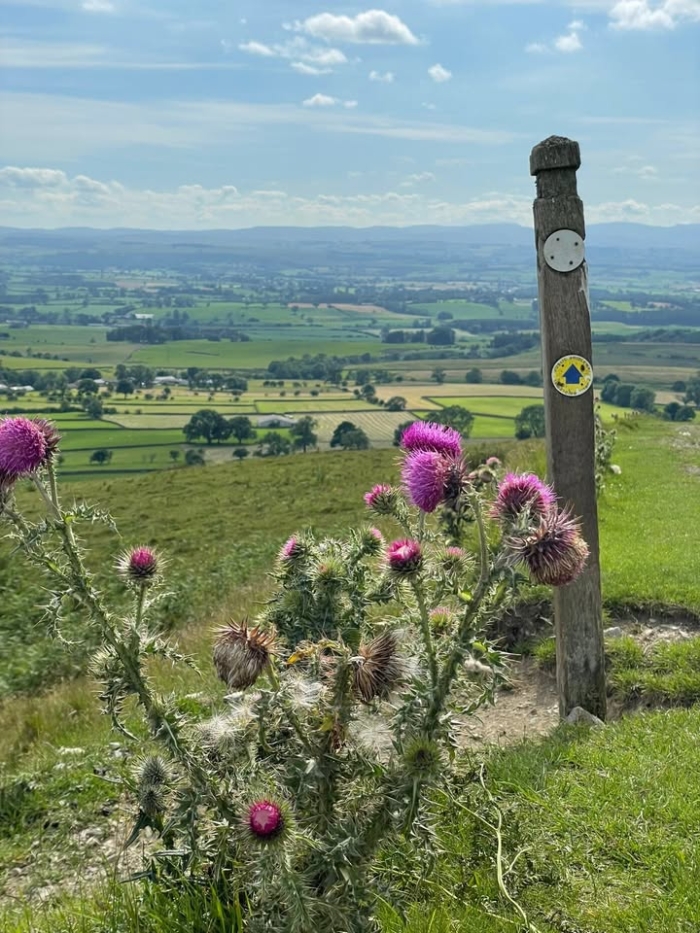 Murton Pike. 
A great place to walk or cycle as the path is a gravel track.  
Car park is at the bottom of the pike.
In the winter months this is also a great pike to toboggan on. 
Views looking down over the Eden valley.